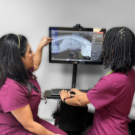 Pet Diagnostics and X-Rays